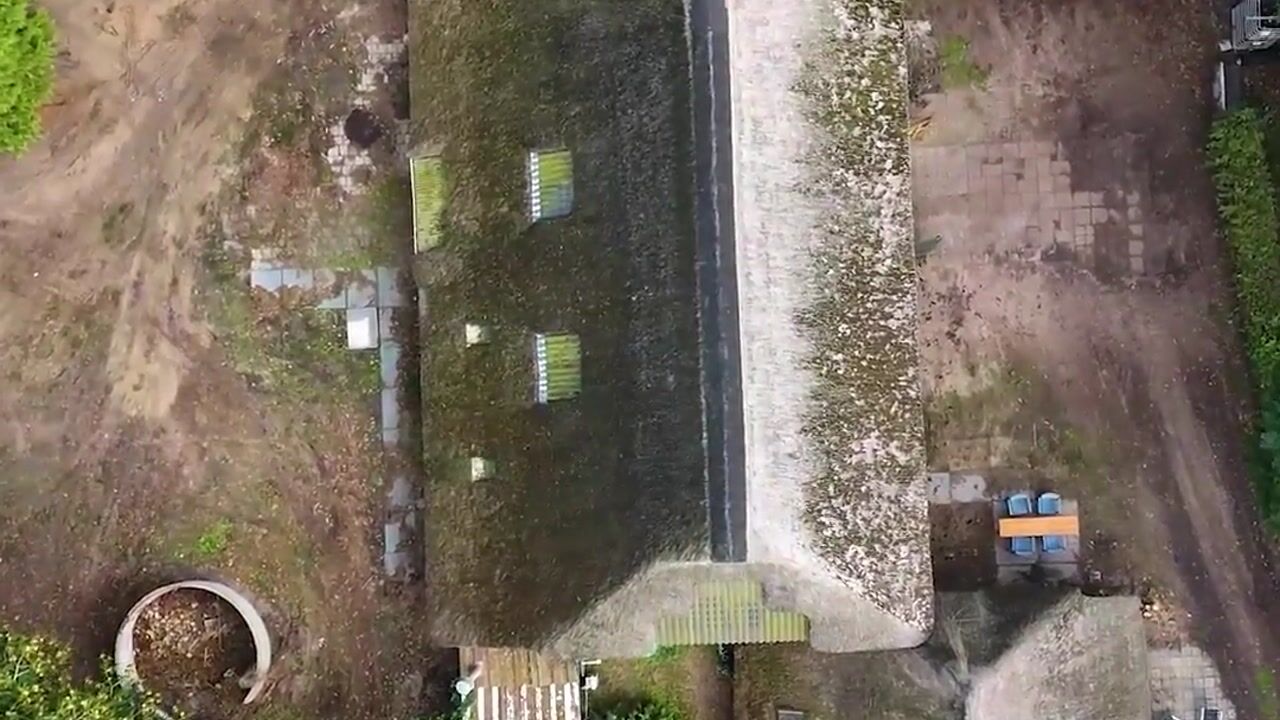 Video van Den Oosterhuis 11