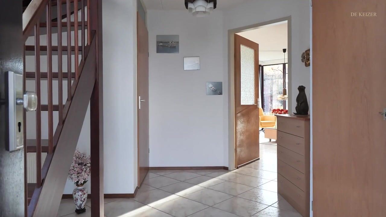 Video of Johan de Meesterhove 9