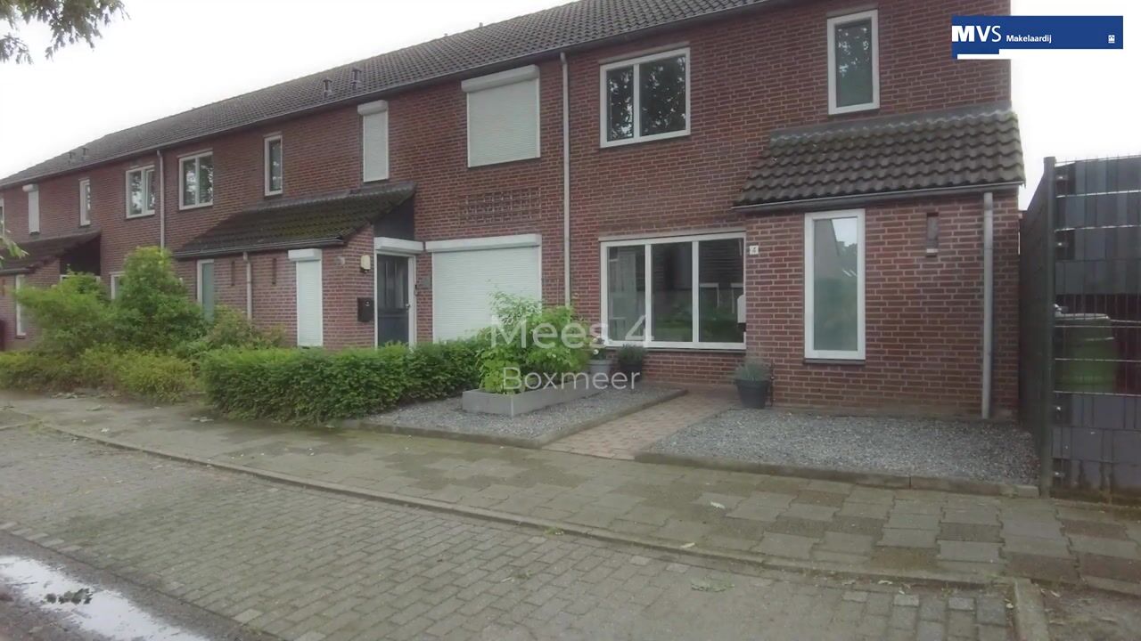 Video van Mees 4