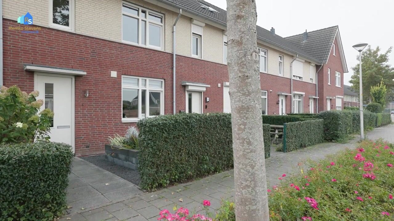 Video van Paardenbloem 48