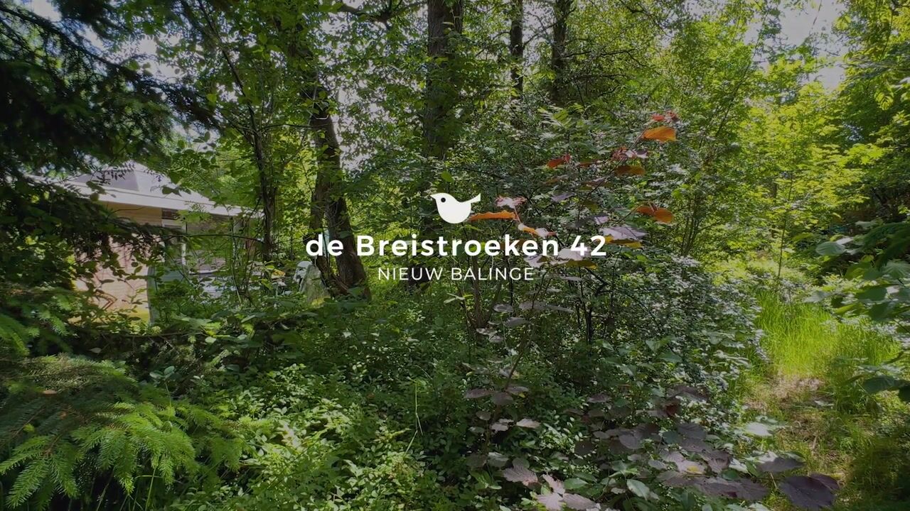 Video van De Breistroeken 42