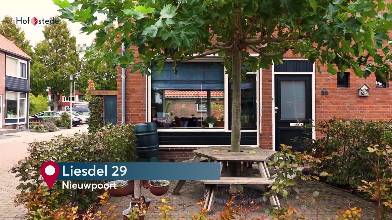 Video of Liesdel 29