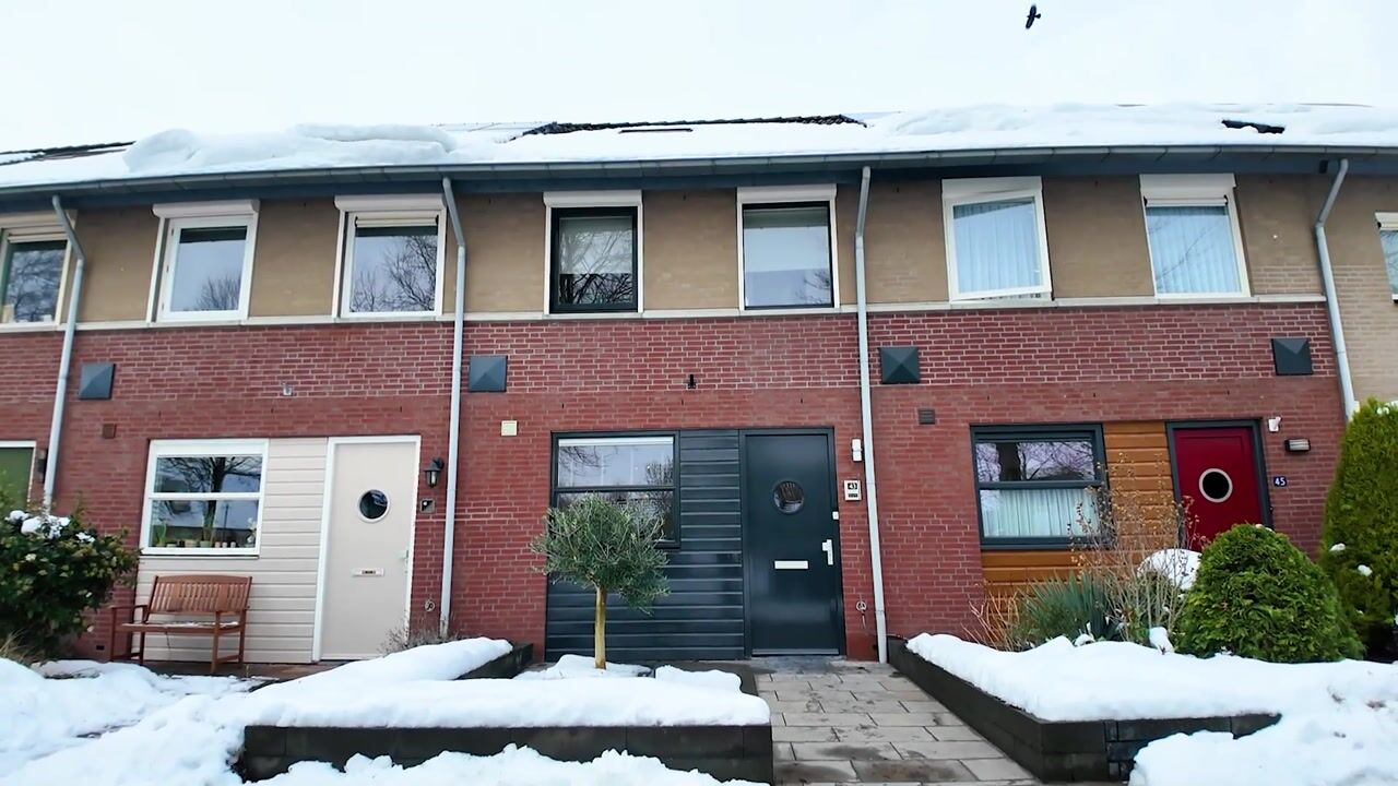 Video van van Herlaerstraat 43