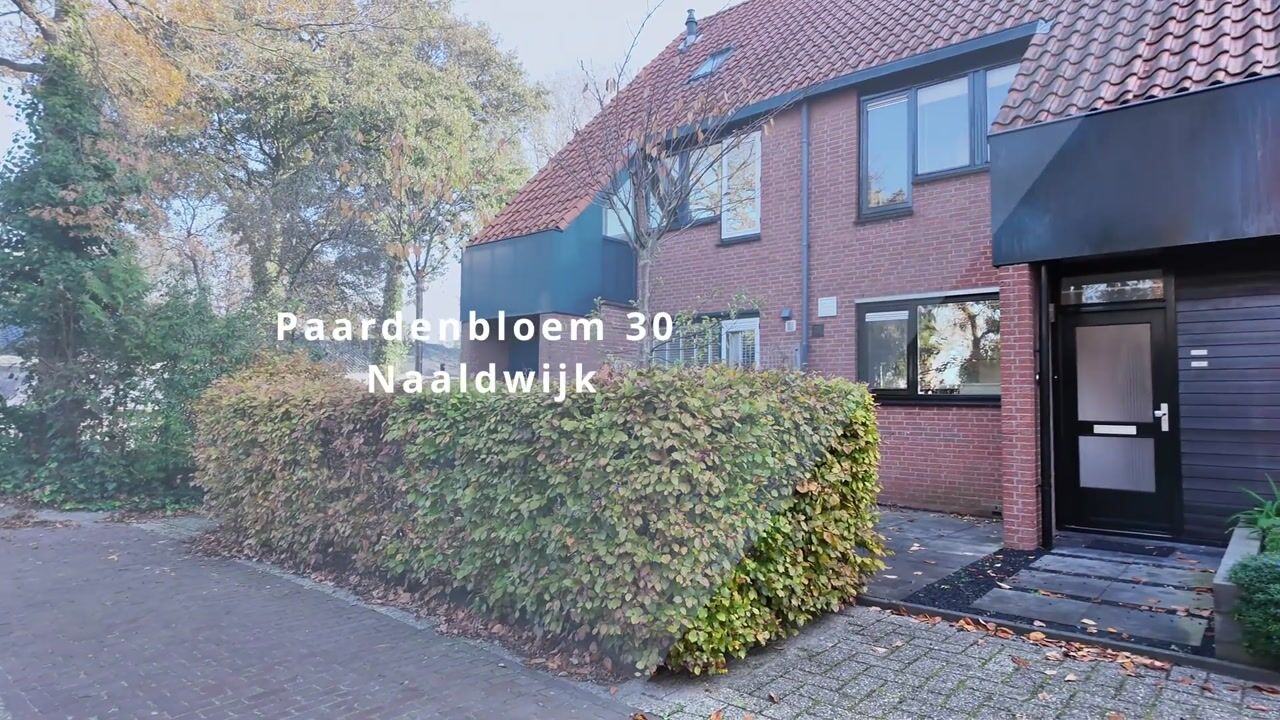 Video van Paardenbloem 30