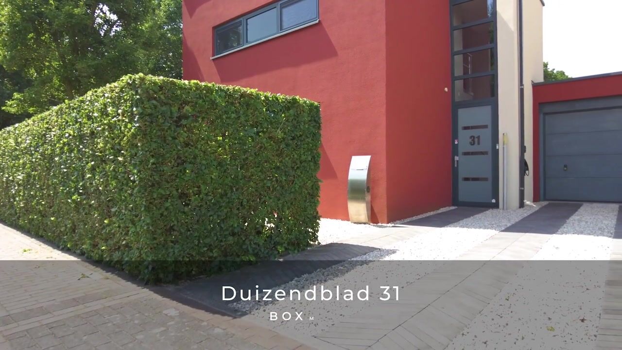 Video van Duizendblad 31