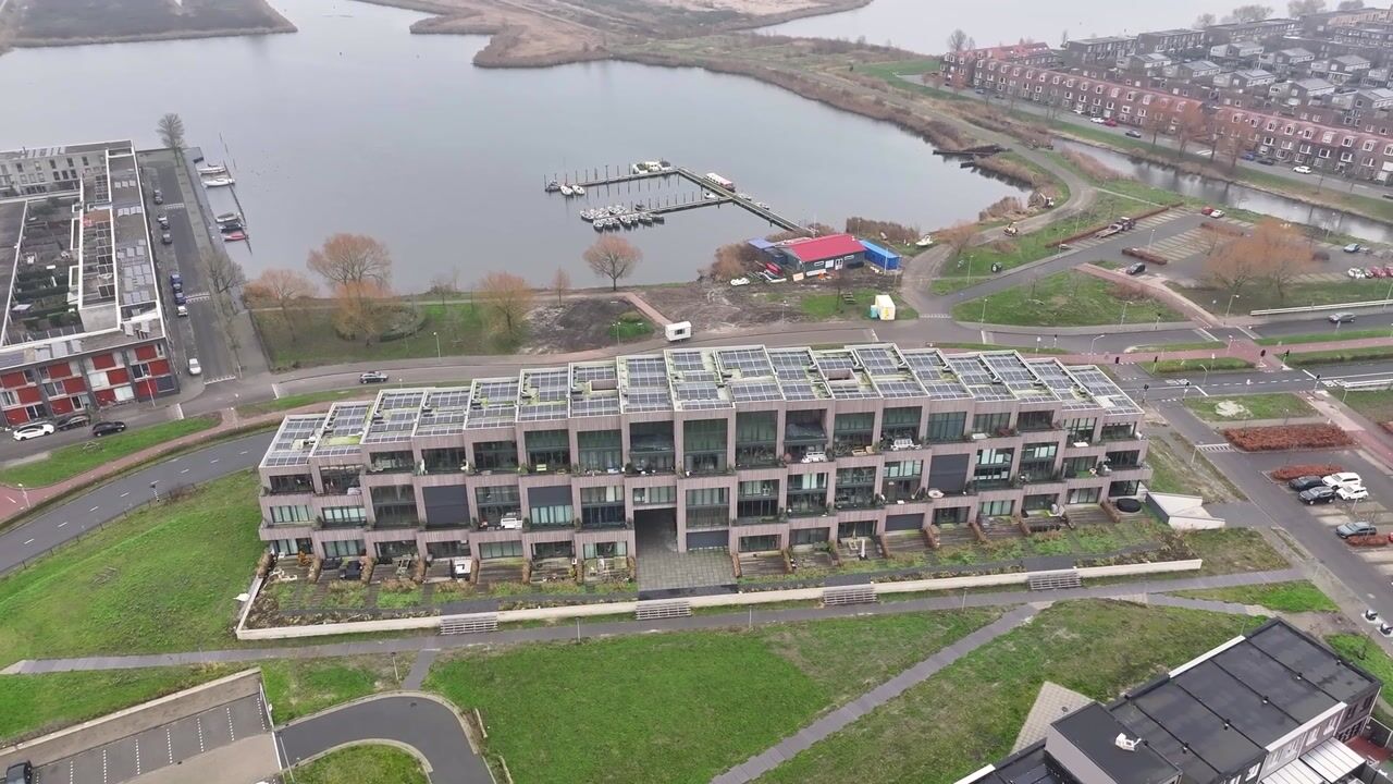 Video of Wimpelplantsoen 450