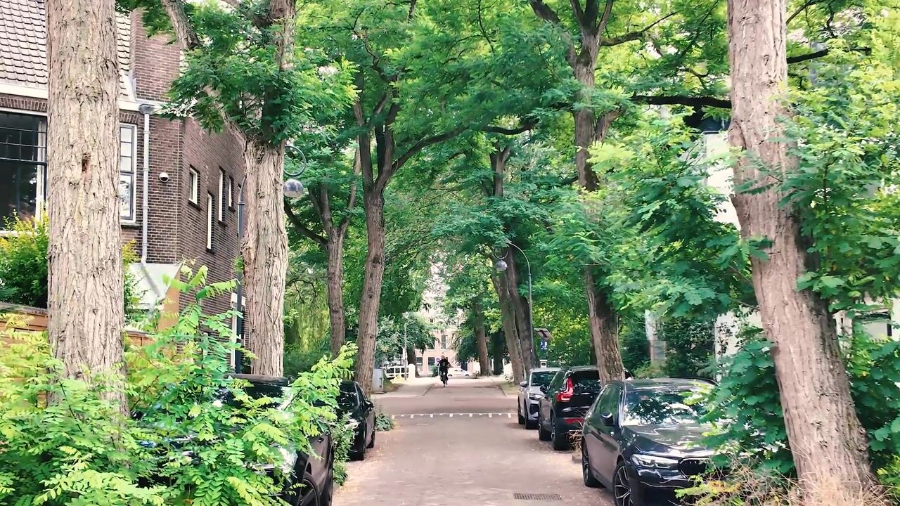 Video van Maerten van Heemskerckstraat 1-B