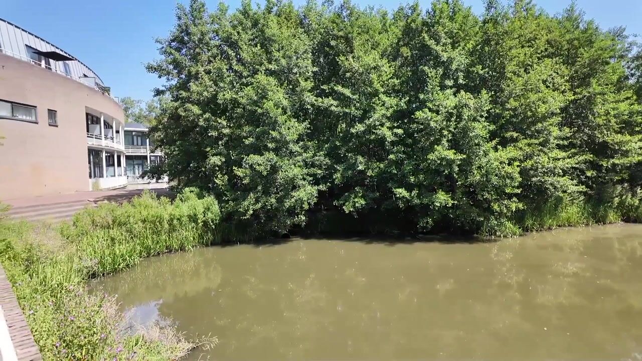 Video van Teylersplein 2-C12