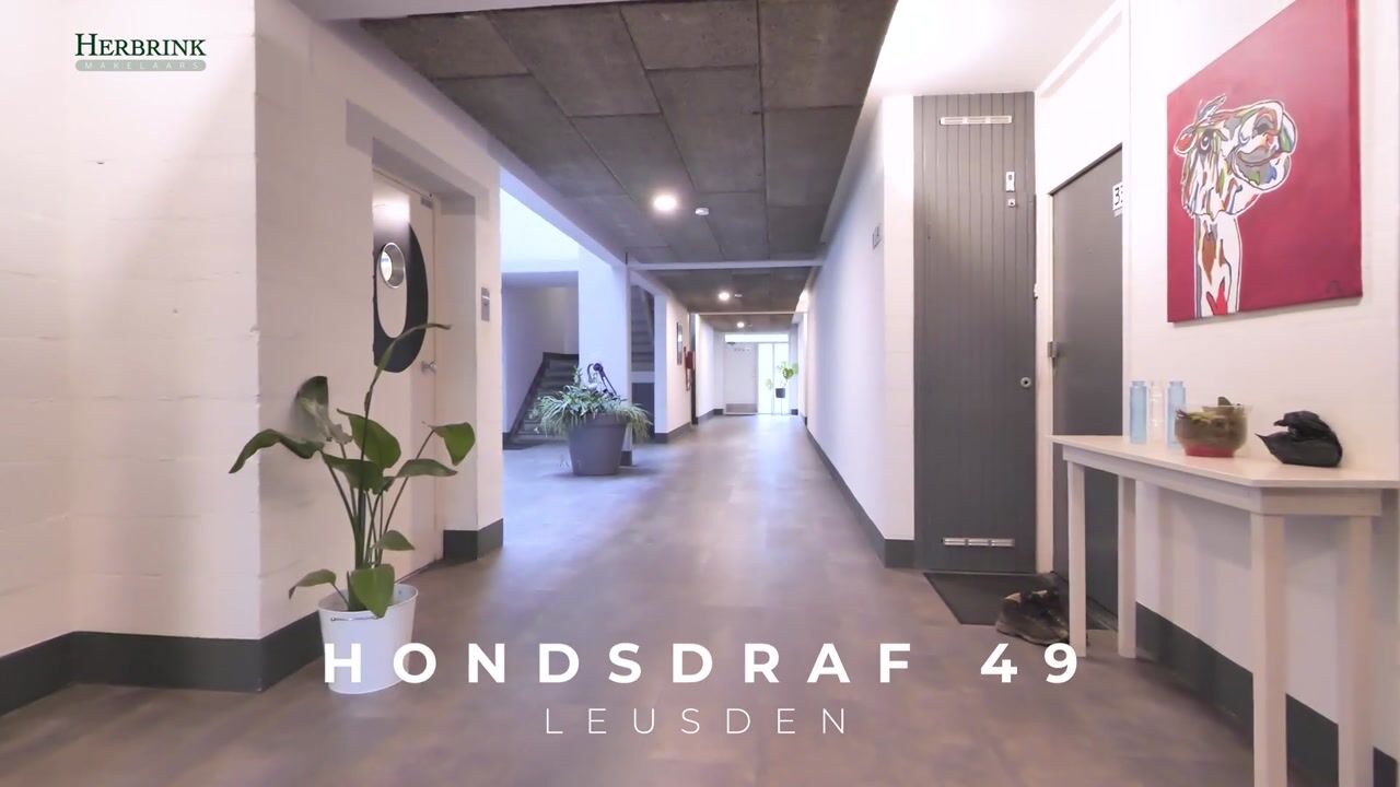 Video of Hondsdraf 49