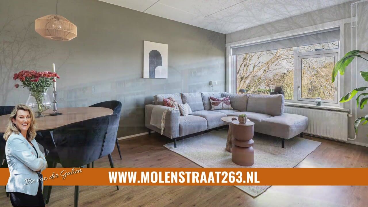 Video van Molenstraat 263