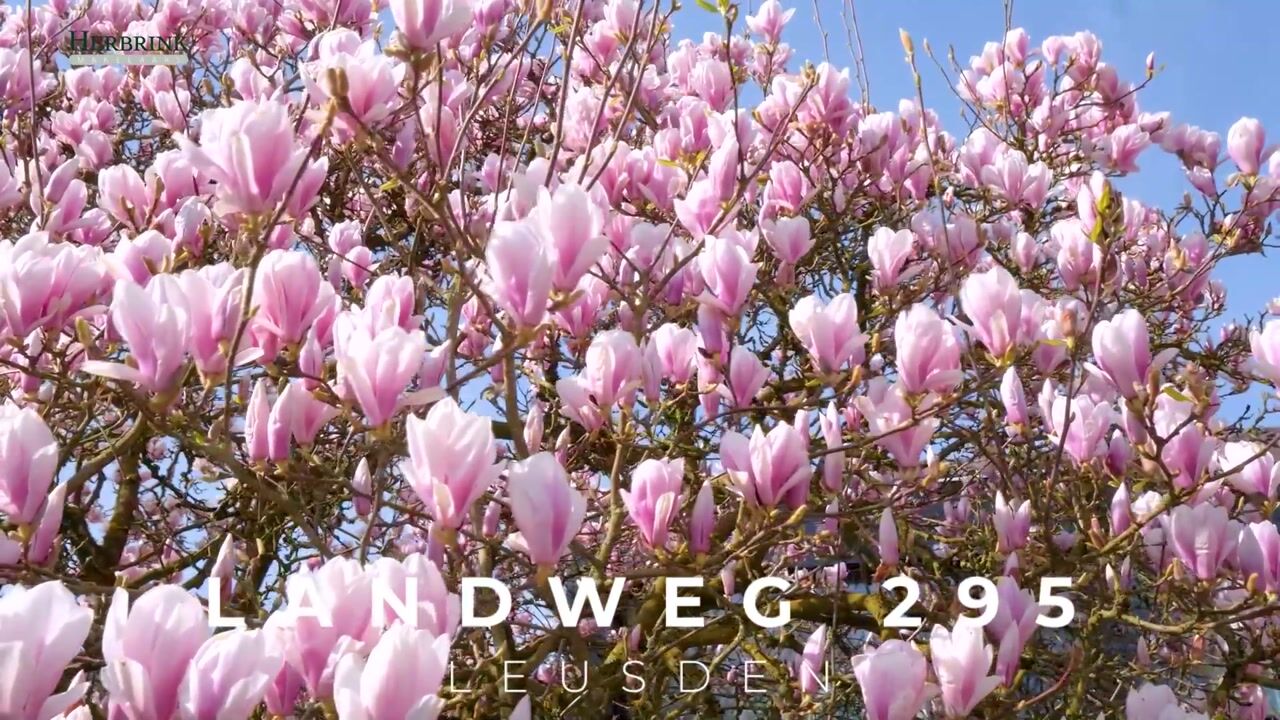 Video van Landweg 295