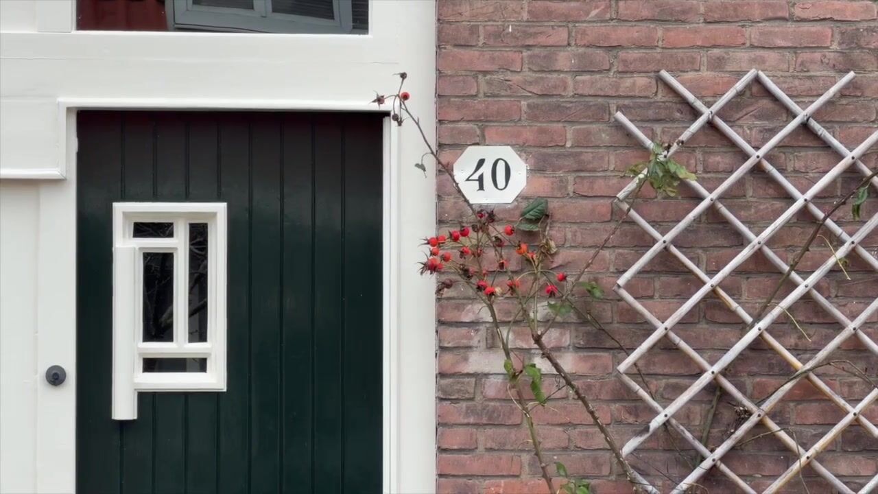 Video of Molengouw 40