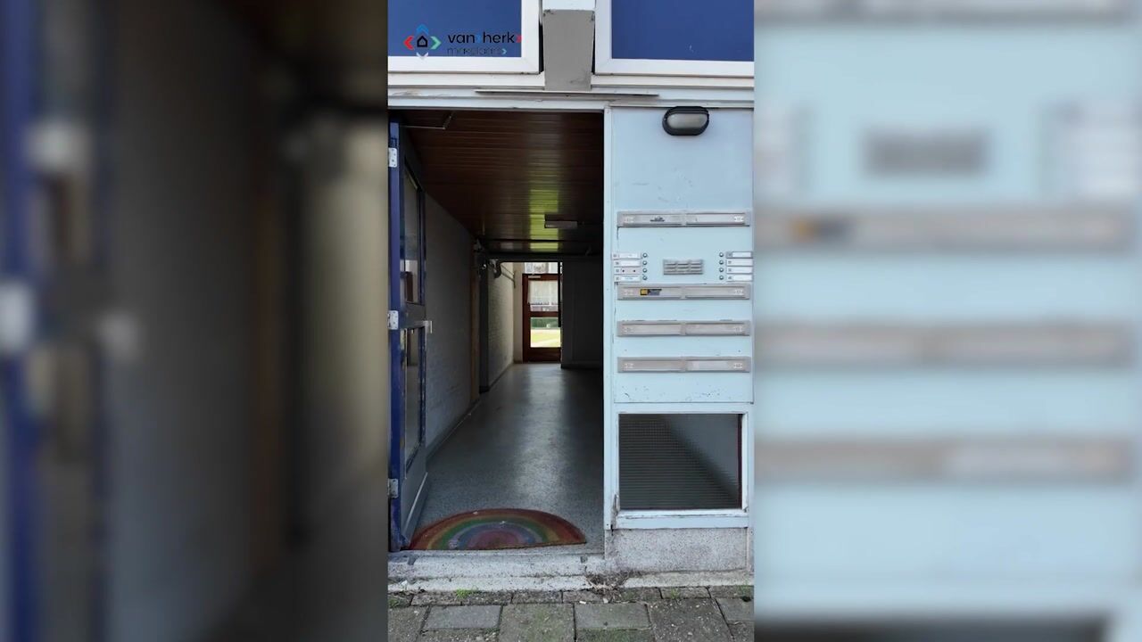 Video van Rubenssingel 49