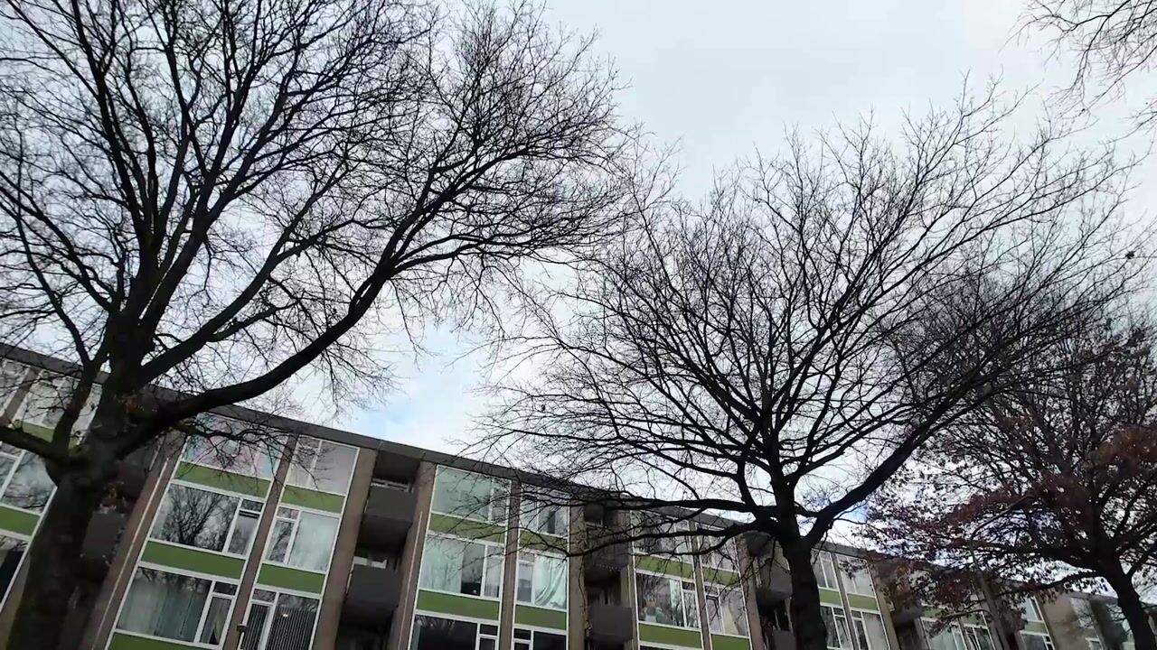 Video van Statenlaan 259