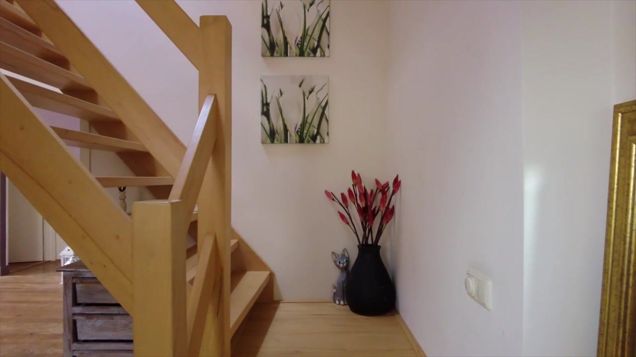 Video van Burg. Van Houtstraat 47