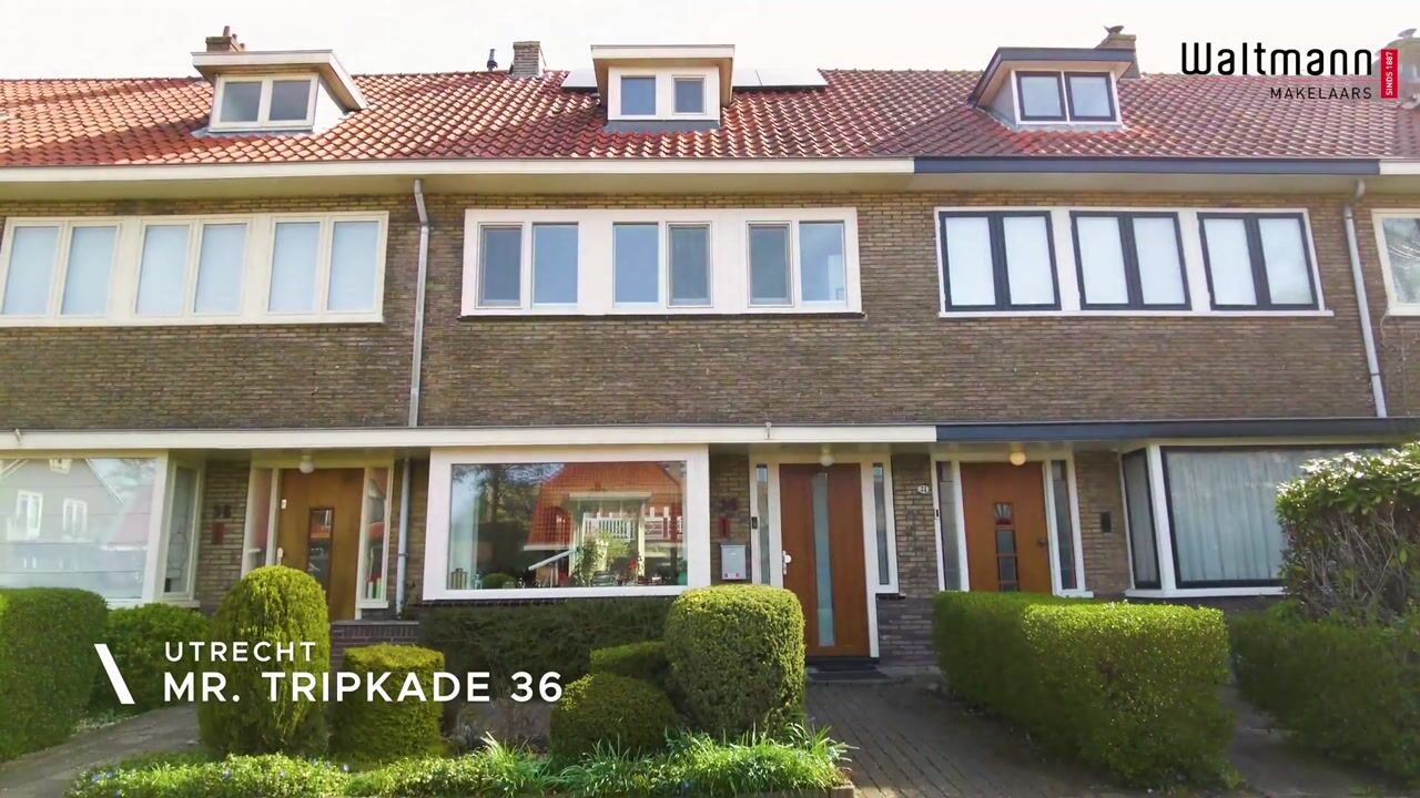 Video of Mr. Tripkade 36