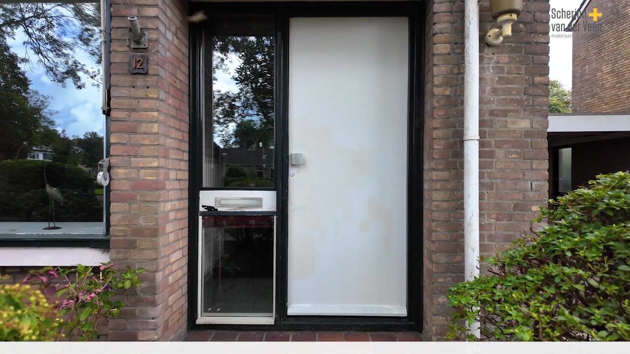 Video van Koaikamp 12