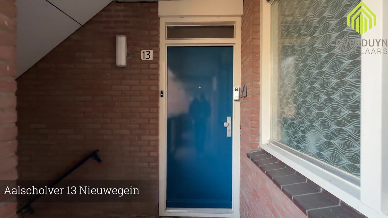 Video van Aalscholver 13
