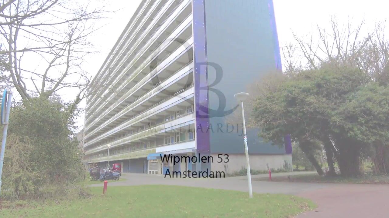 Video van Wipmolen 53