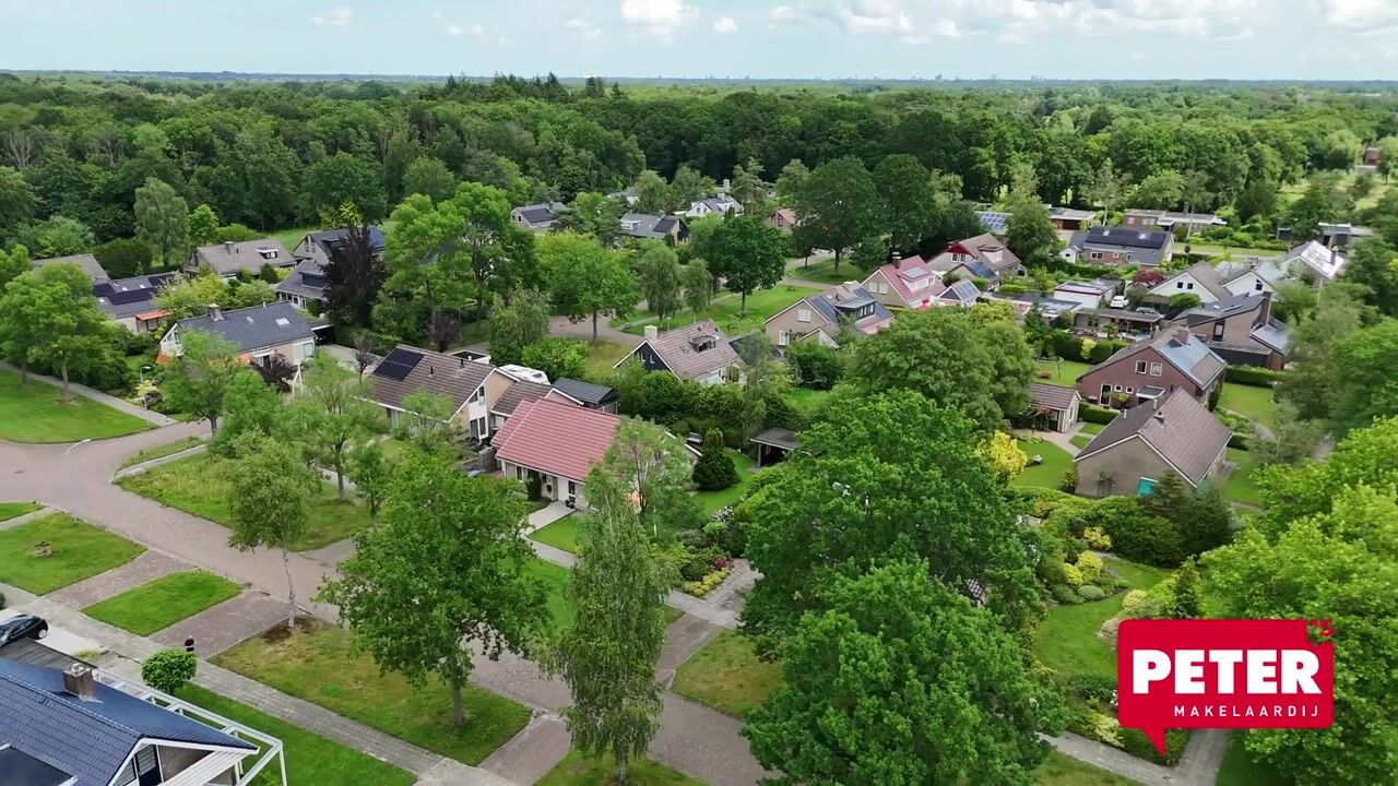 Video van Camphuysen 1