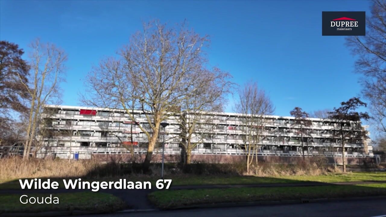Video van Wilde Wingerdlaan 67