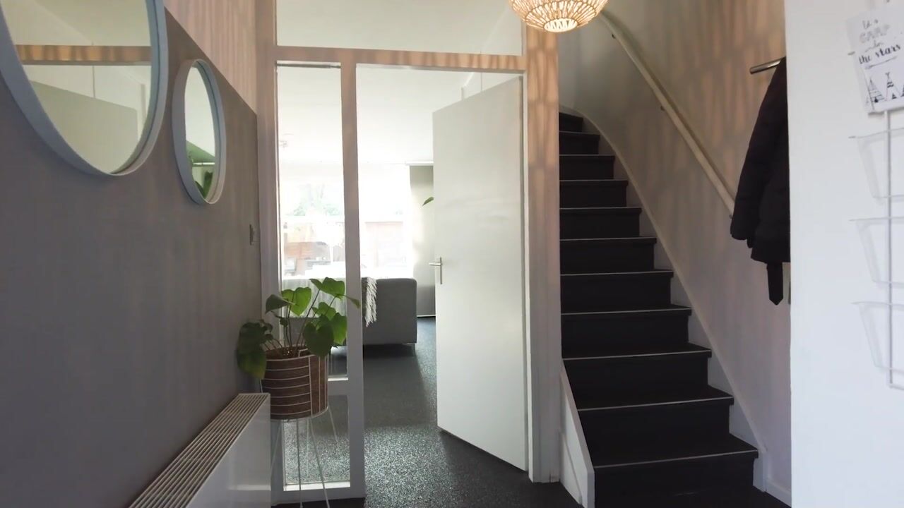 Video van Zwanenveld 3716