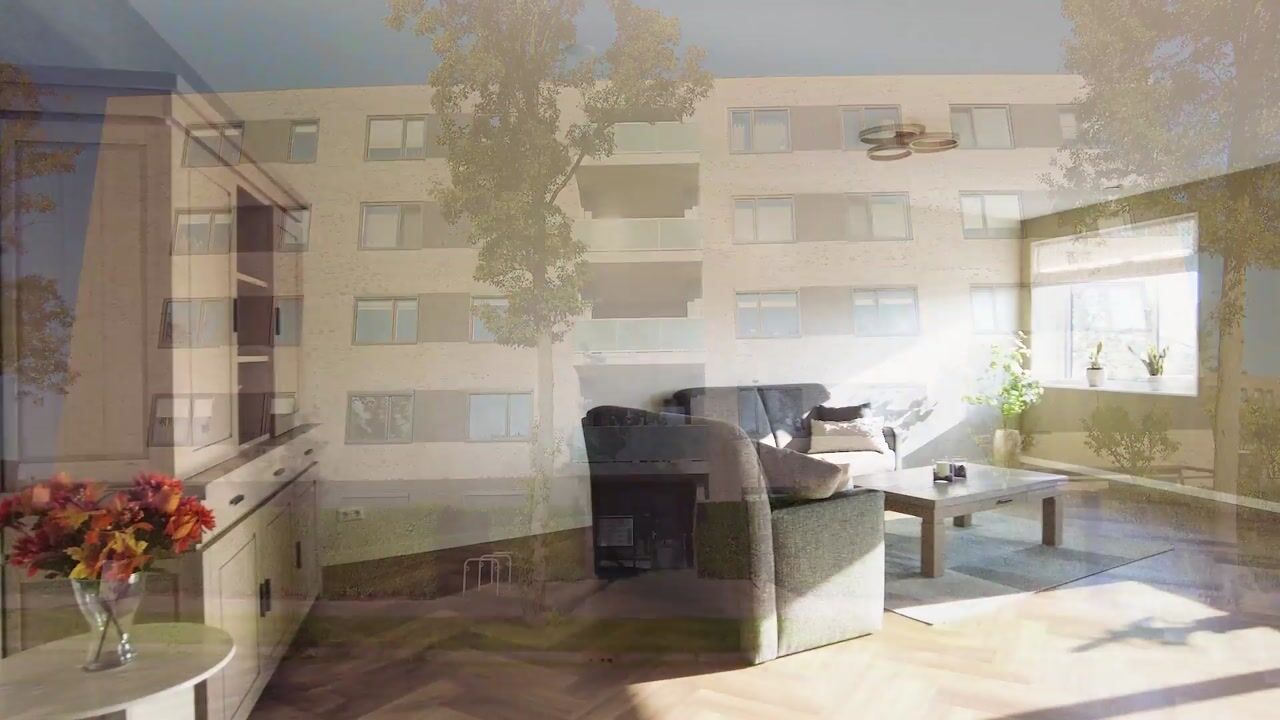 Video van Basiusstraat 37
