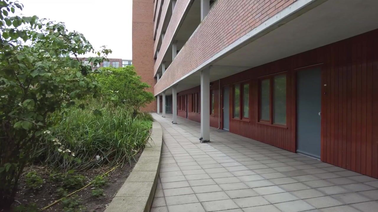 Video van Willem Molenbroekplein 7