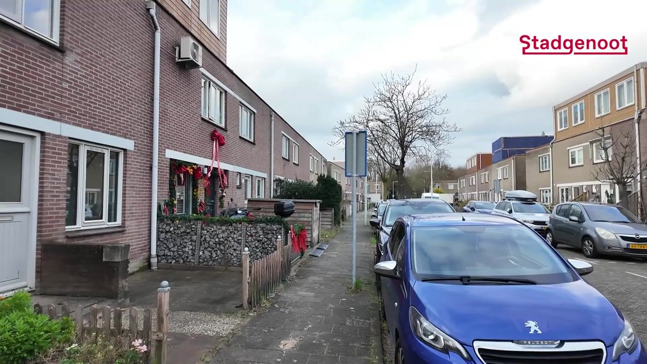 Video of Trichtstraat 13