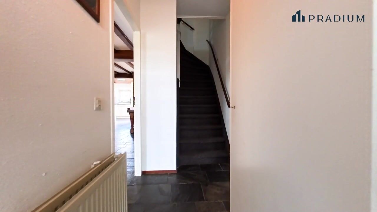 Video of Lamberg 23