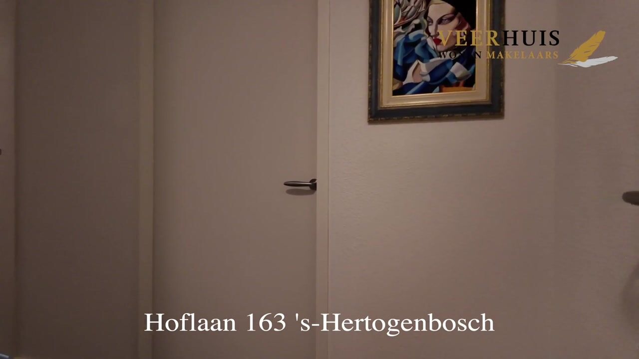 Video van Hoflaan 163