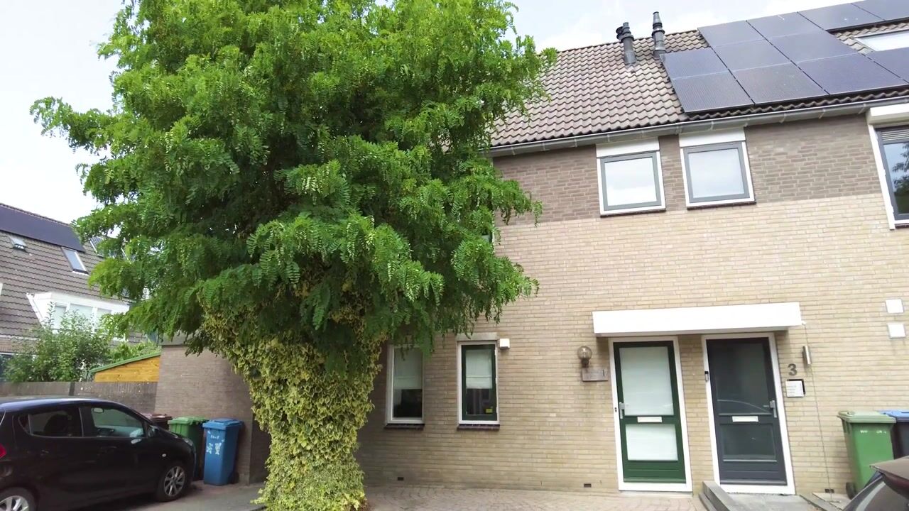 Video van Wipmolen 1