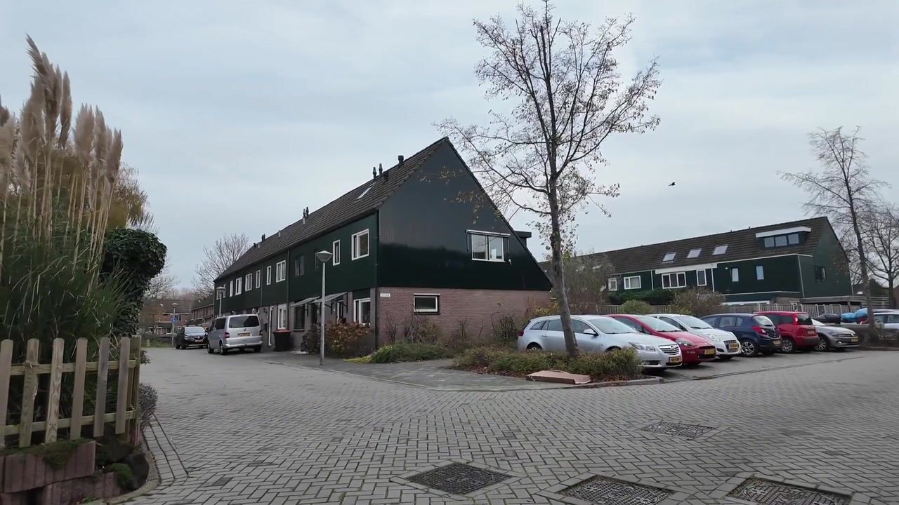 Video van Zwanebloem 36