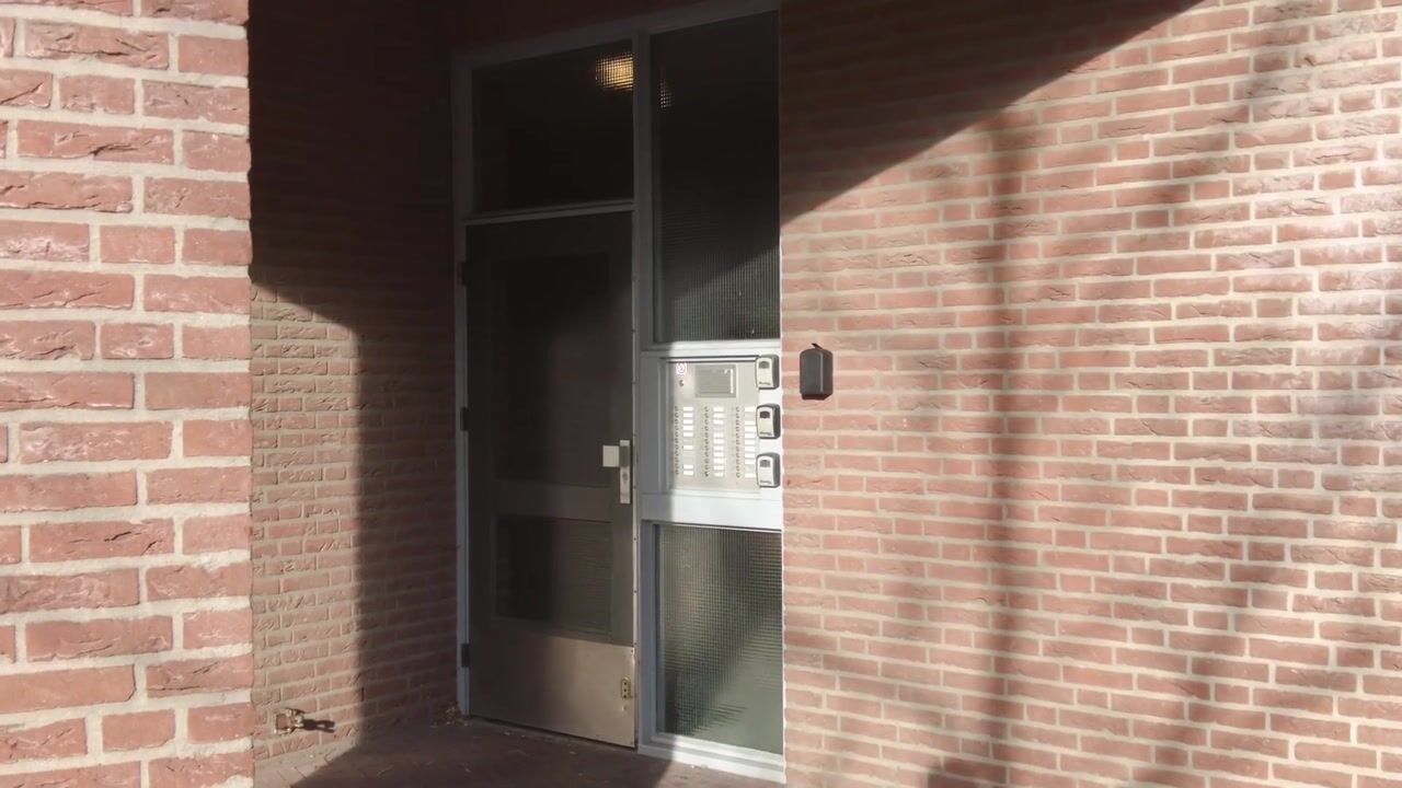 Video of De Gouden Leeuw 63