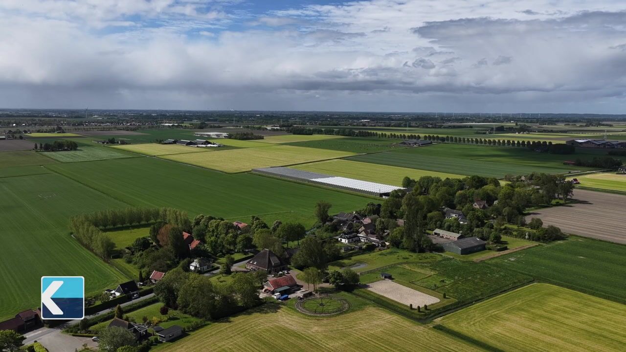 Video of Moerbeek 31