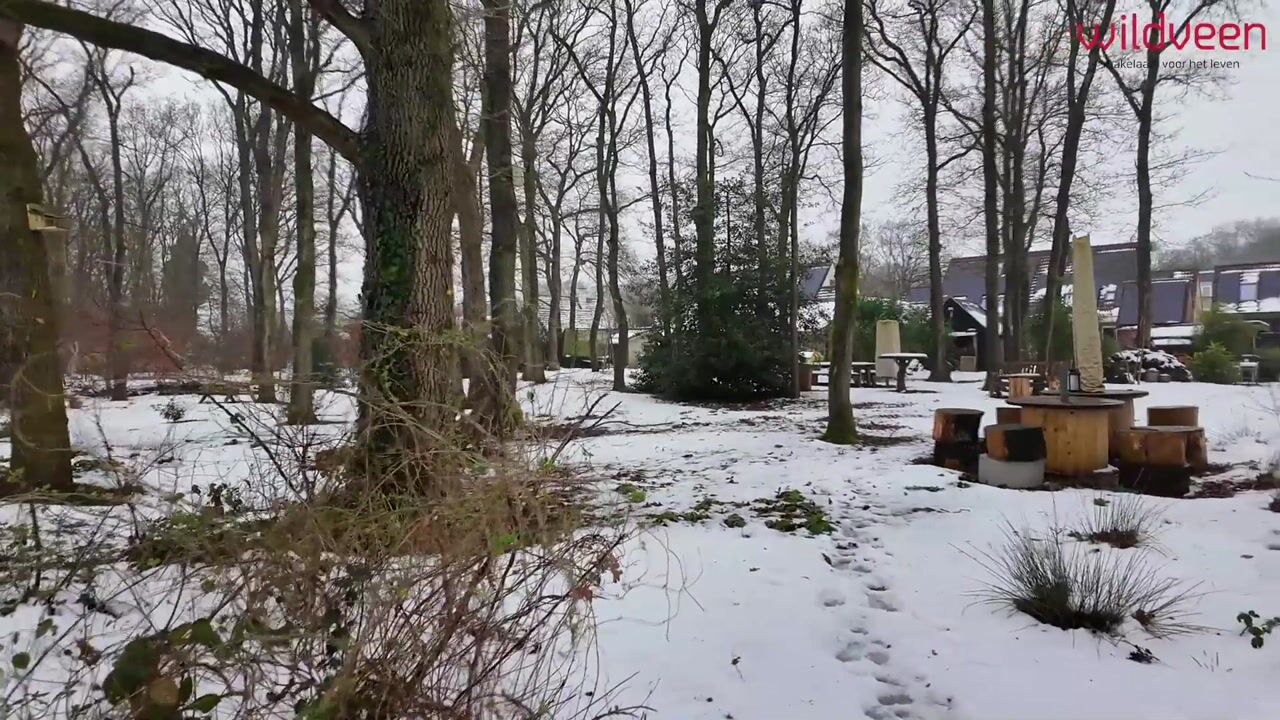 Video of de Hilde 74