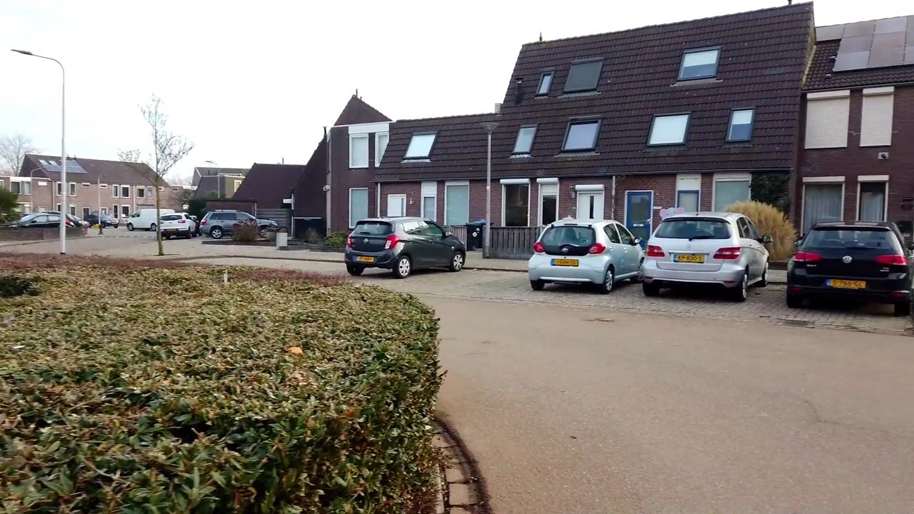 Video van Heeskesacker 1303