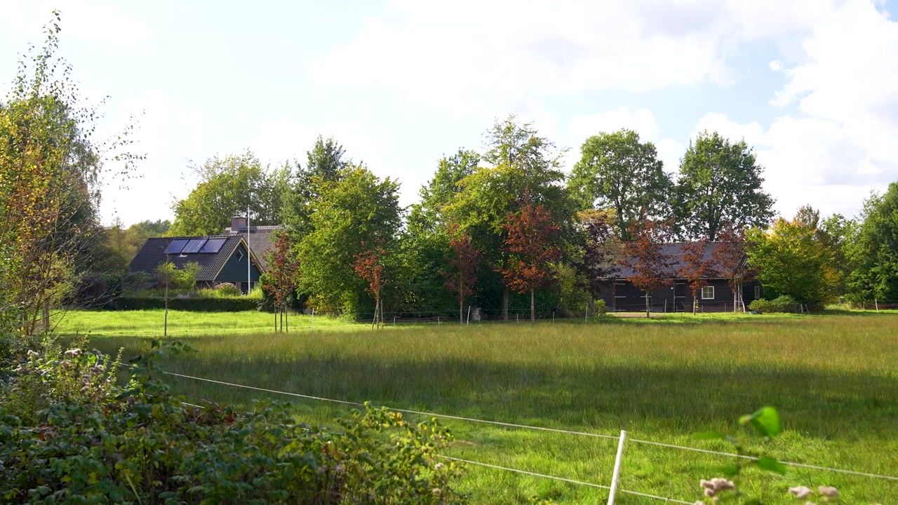 Video van Oost Ravenweg 2