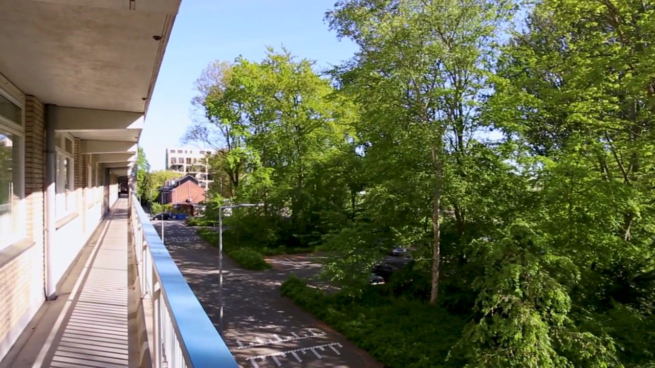 Video van Everaertstraat 21