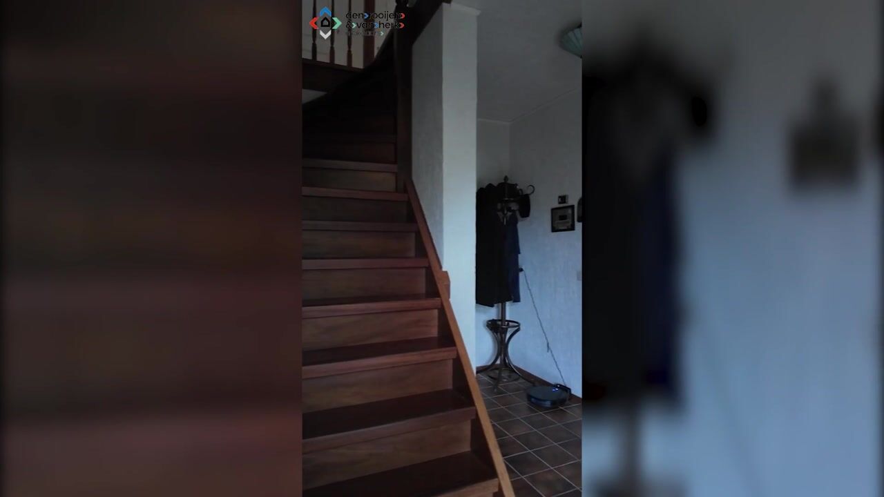 Video van Draaikolk 22