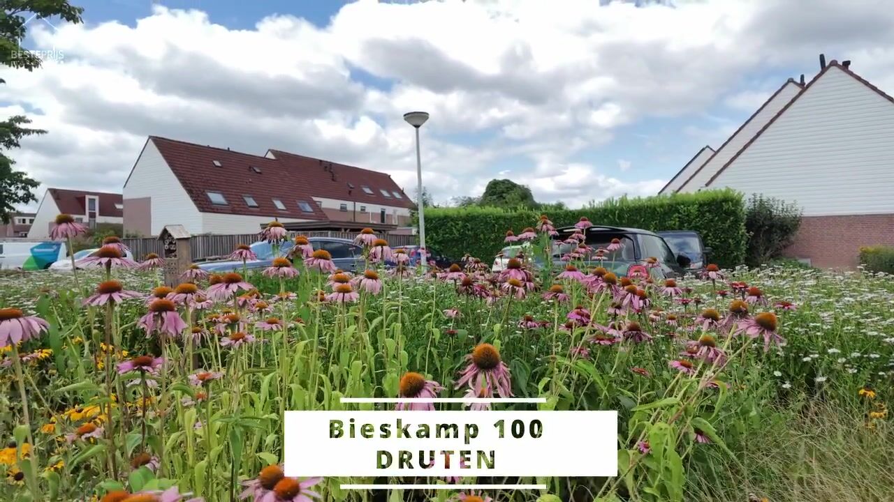 Video van Bieskamp 100
