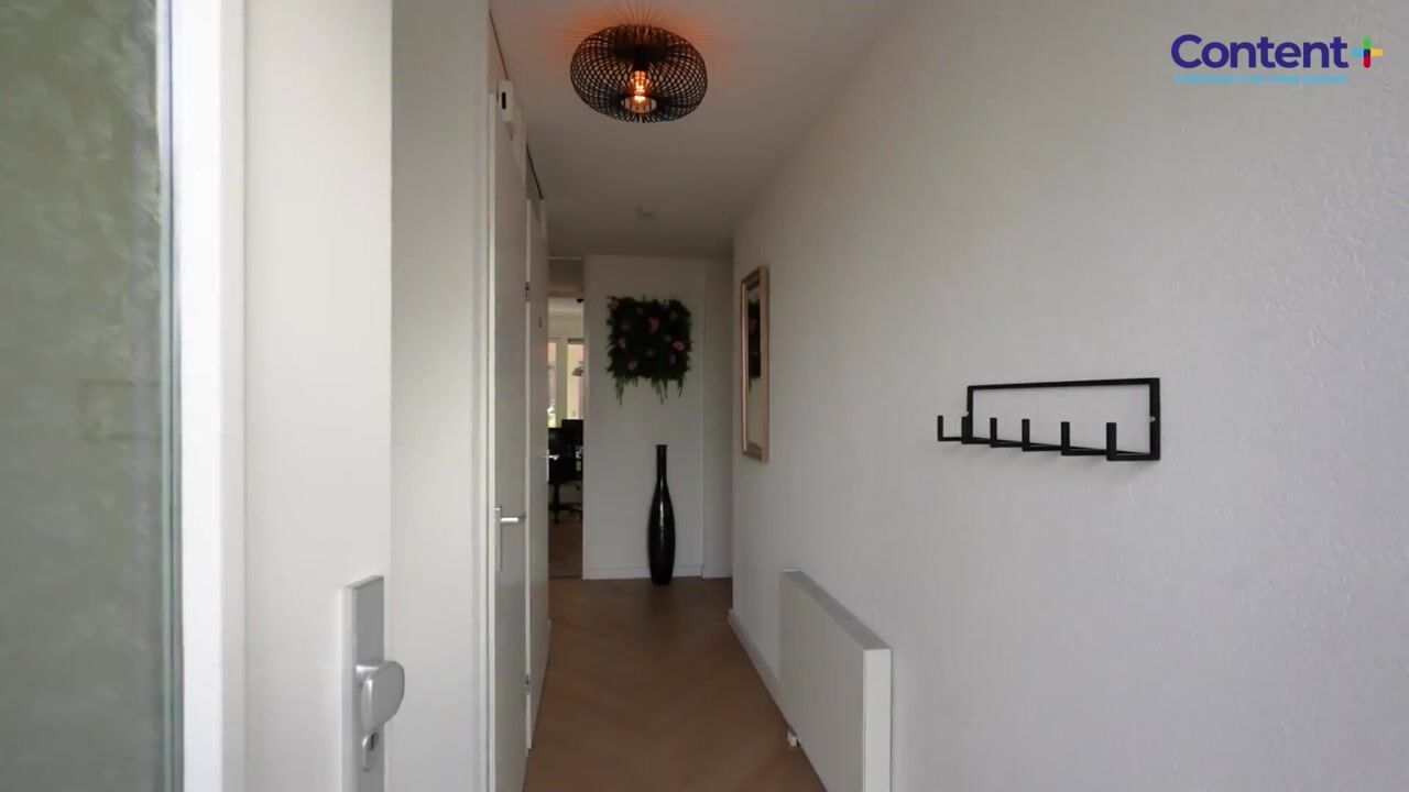 Video of Lijsterbeswede 91