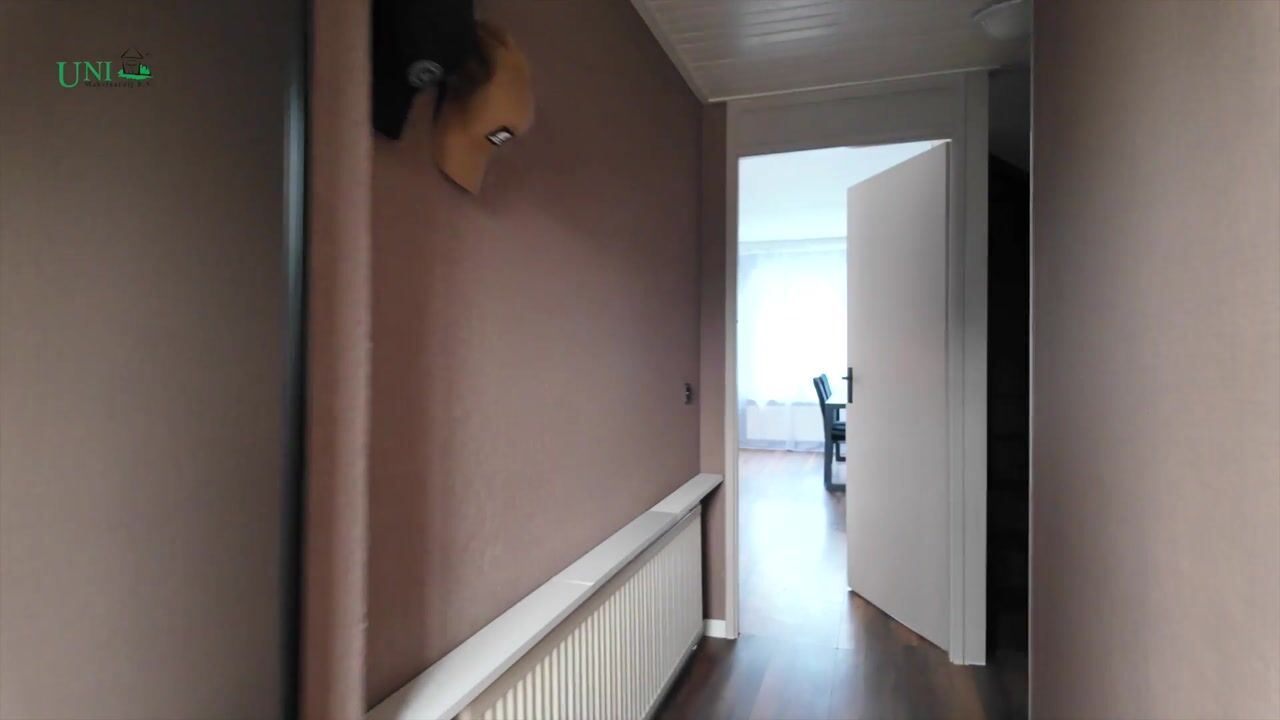 Video of Anne Franklaan 8