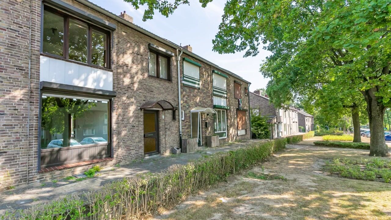Video van De Insel 1