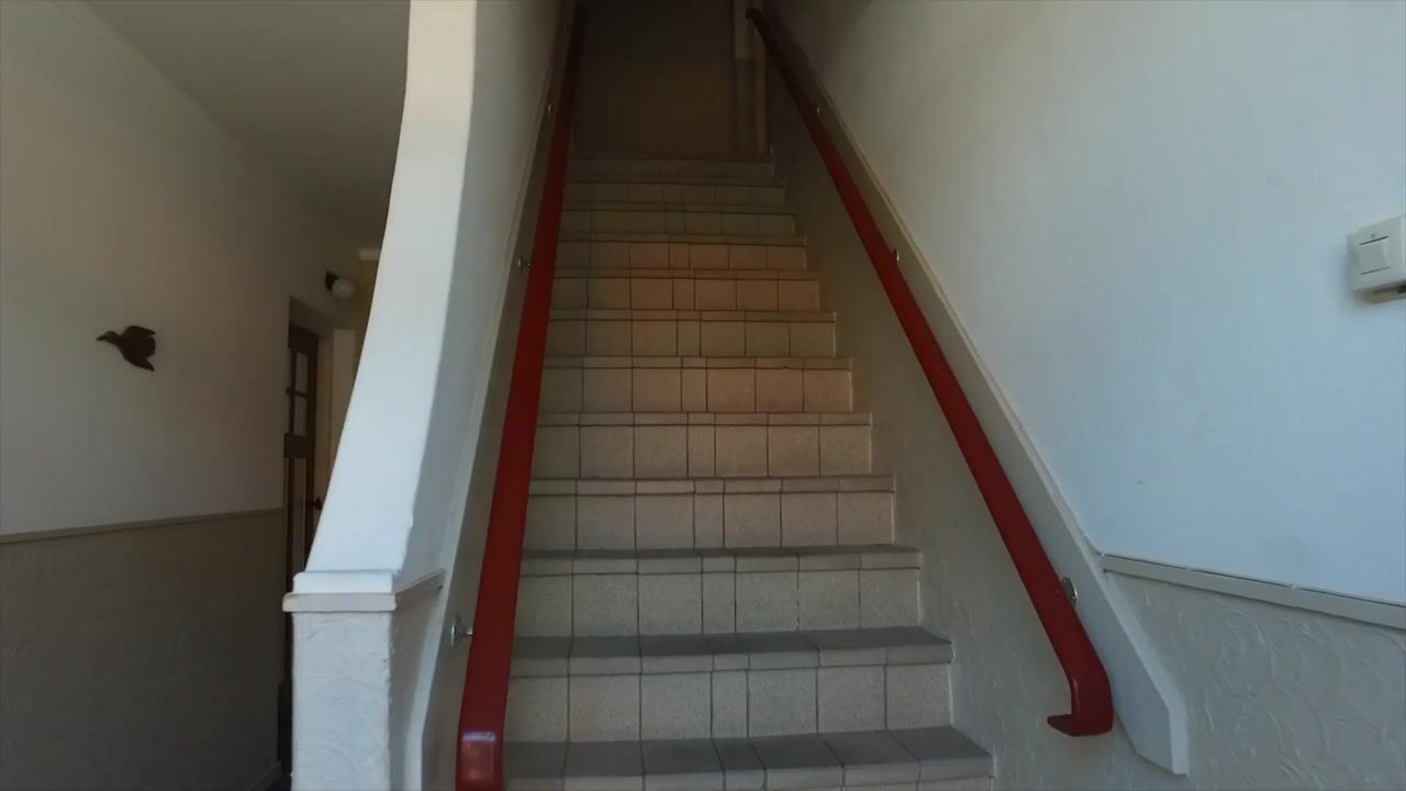 Video van Staringlaan 19