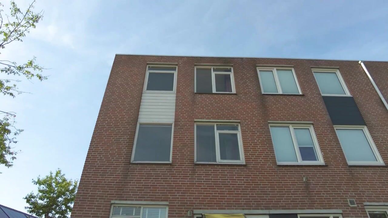 Video van Binkhorst 36