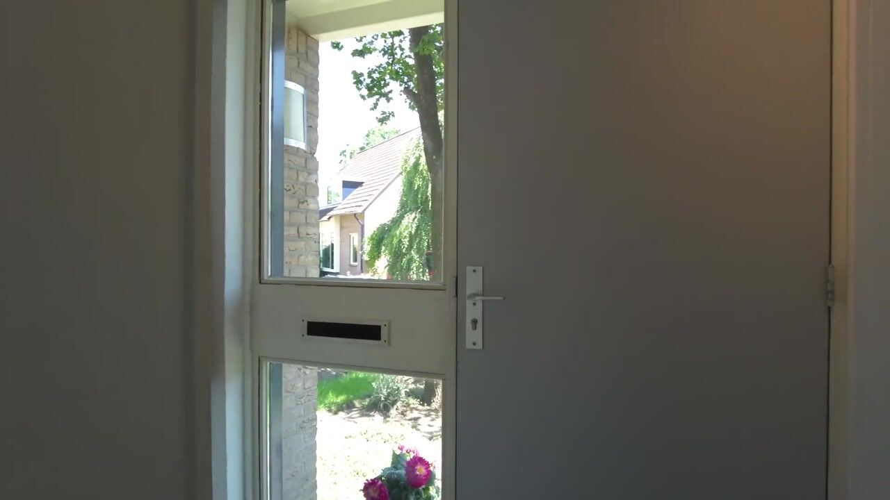 Video van Vlouwakkers 3