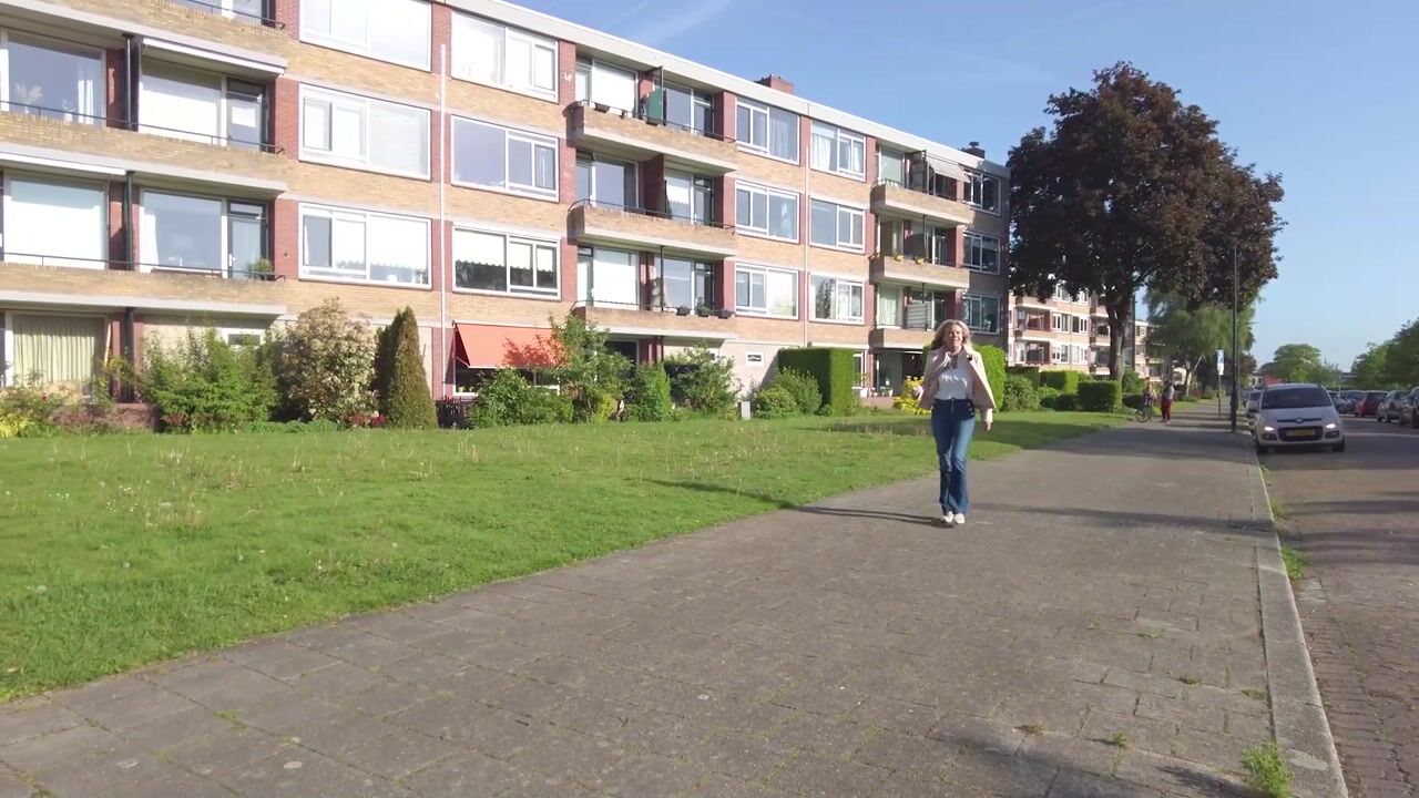 Video of Albardastraat 164