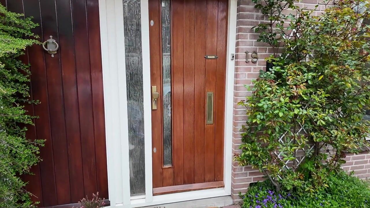 Video van Honingbij 18