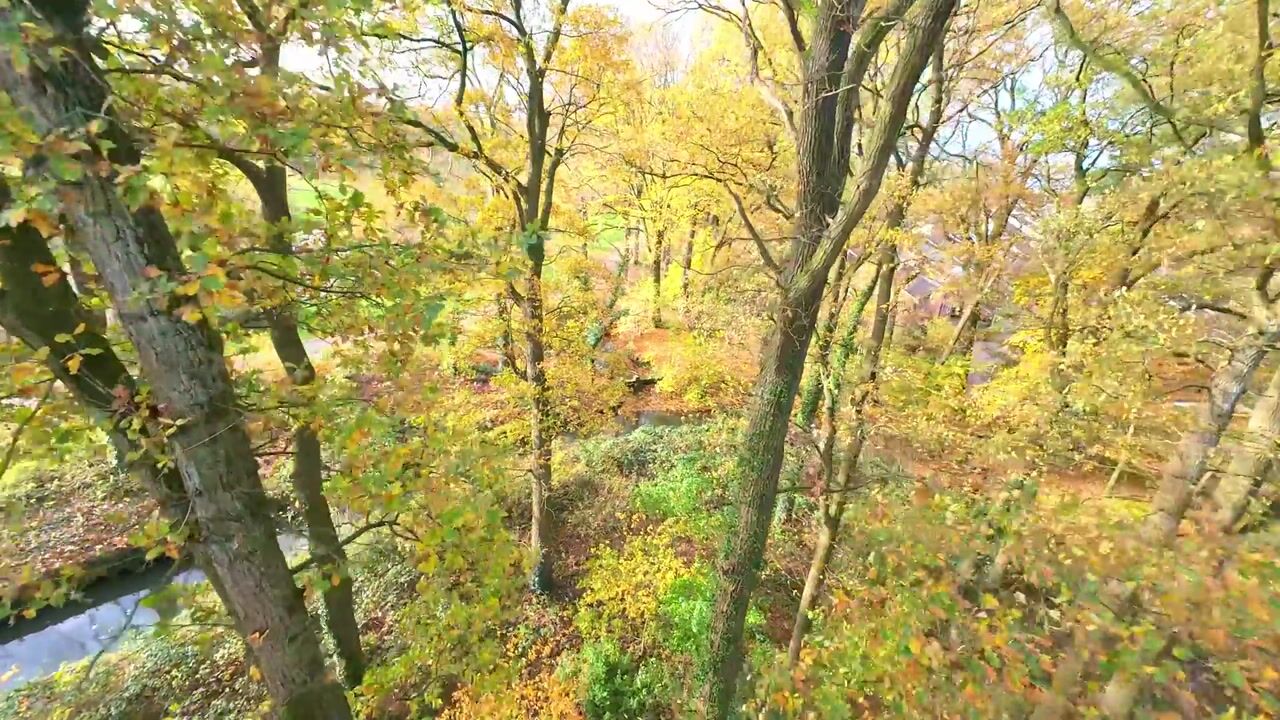 Video of Nederlandlaan 99